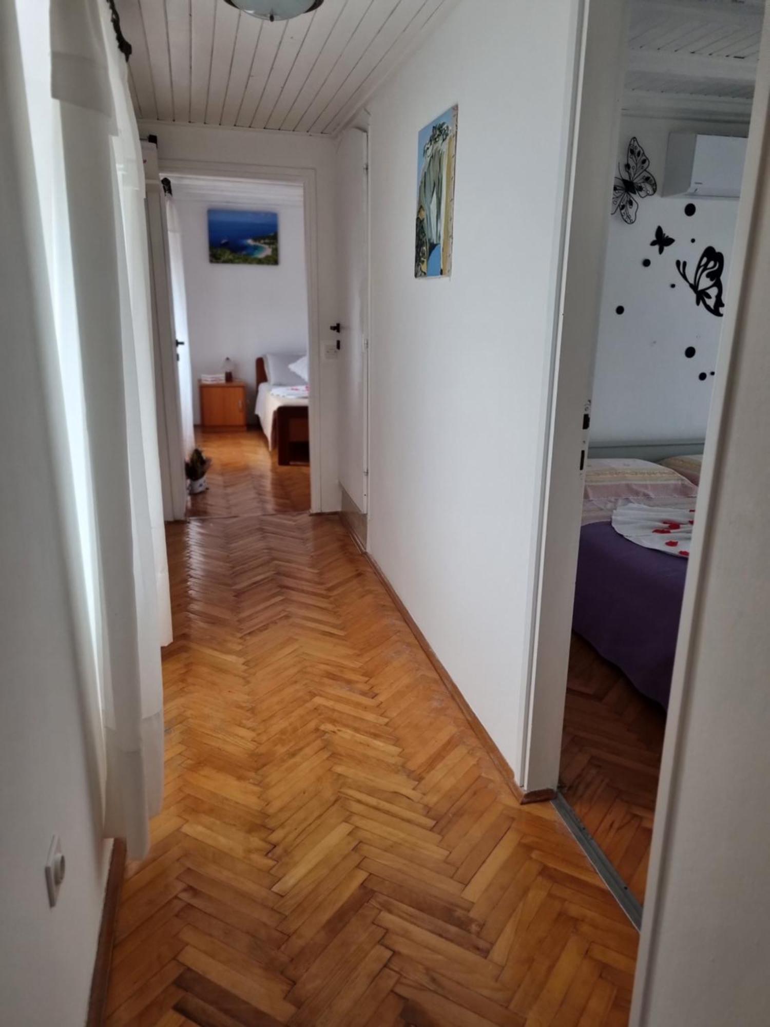 Apartment Milenko *